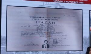 TPUA