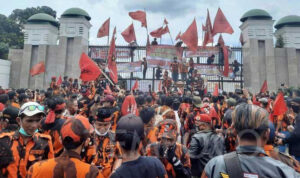 Ormas
