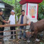 Matangkuli