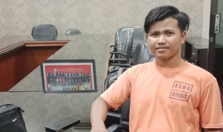 Bupati Bireuen