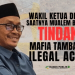 Wakil Ketua