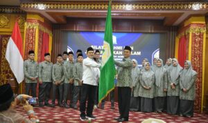 Optimis