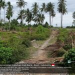 Proyek Tambak