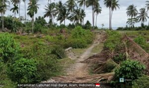 Proyek Tambak