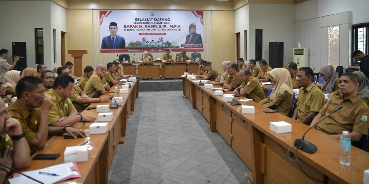 Serapan Anggaran