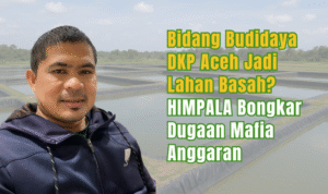 Bidang Budidaya