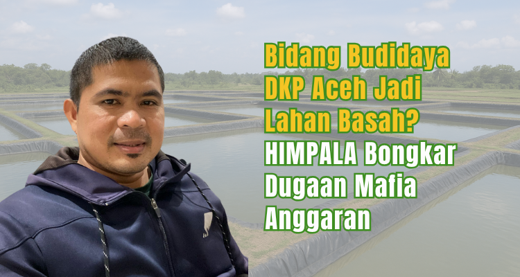 Bidang Budidaya